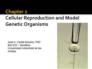 PPT Biol223_Cap2_Genetica_UAA_Ag2013