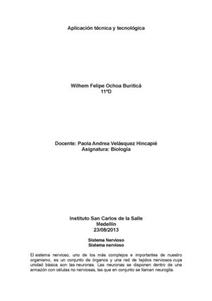 Sistema Nervioso