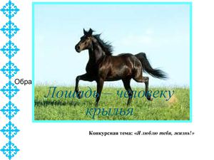 Мы и природа