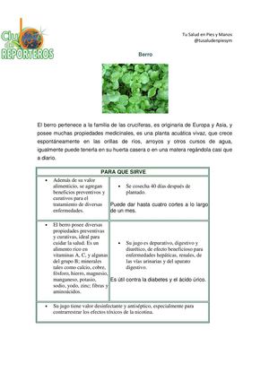 Beneficios delBerro