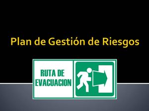 plan gestion de riesgos
