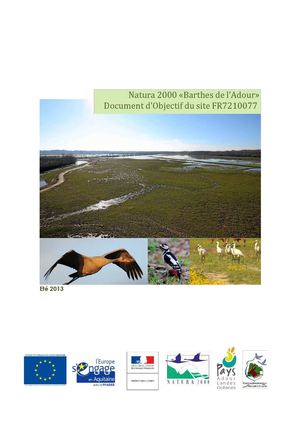 Version 0 diagnostic ZPS Barthes de l'Adour