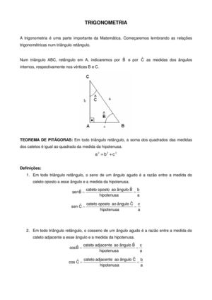 Exercicios profª Andreia