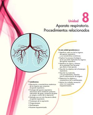 Anatomia del sistema respiratorio