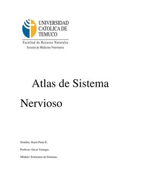 Atlas sistema nervioso