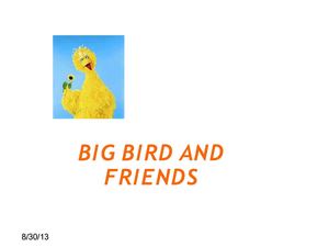 BIG BIRD AND FRIENDS