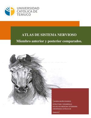 Atlas sistema nervioso equino y bovino