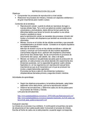 La mitosis y la meiosis: procesos cotidianos