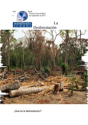 la desforestacion