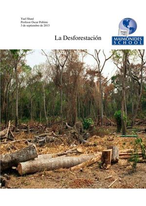 la desforestacion