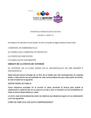 Evidencias- Docente Nelly Triana