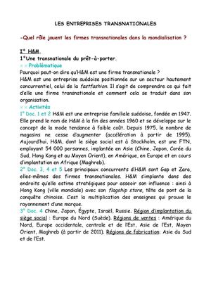 Cours sur les firmes transnationales-Belin