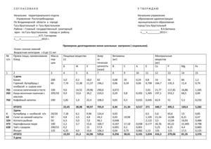 Меню  2013г (социальное).