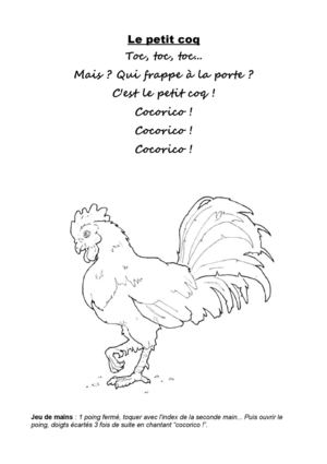 Le petit coq