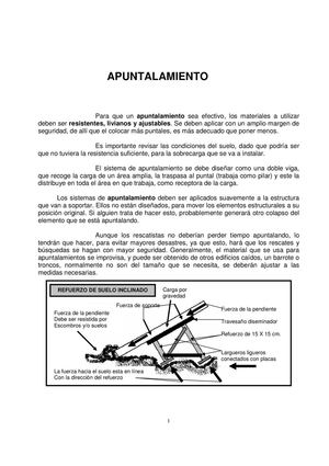 APUNTALAMIENTO