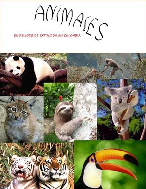 Animales en Peligro de Extinción en Colombia