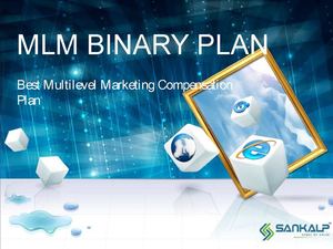 MLM Software Binary Plan 