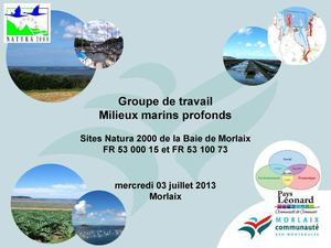 support de présentation groupe de travail Marin profond