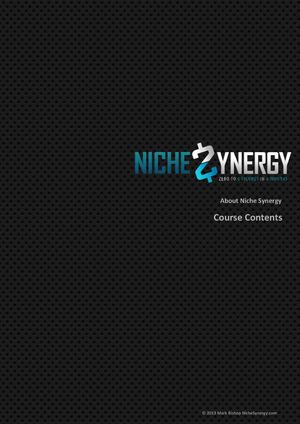 What is Niche Synergy?