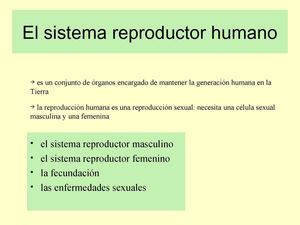SISTEMA REPRODUCTOR HUMANO.rmm