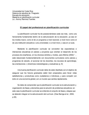 Papel del profesional en planificación 