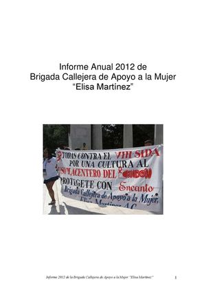 Informe de Actividades de Brigada Callejera 2012