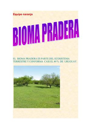 Libro de Tercero "Pradera"