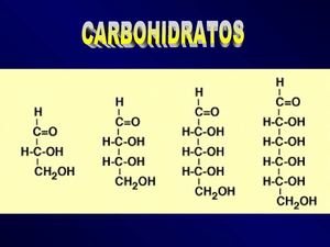 CARBOHIDRATOS