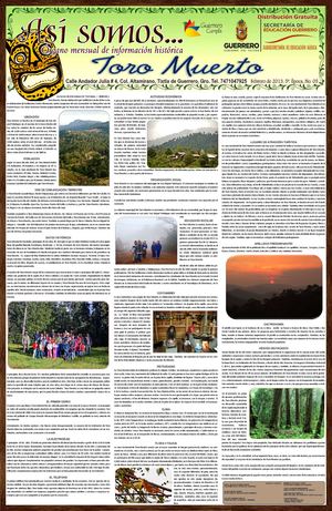 Periódico - cartel Así somos 5a. Época No. 5 Toro Muerto