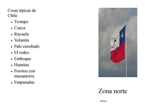 Cosas tipicas de chile