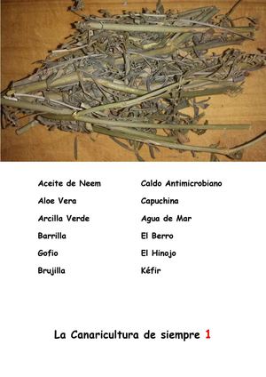 LA CANARICULTURA DE SIEMPRE.  1.