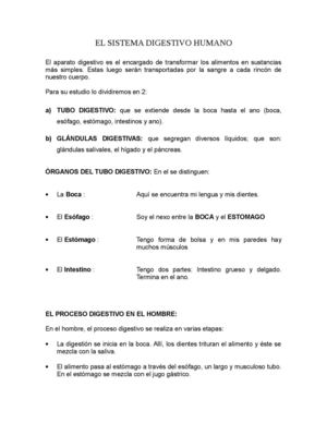 EL SISTEMA DIGESTIVO