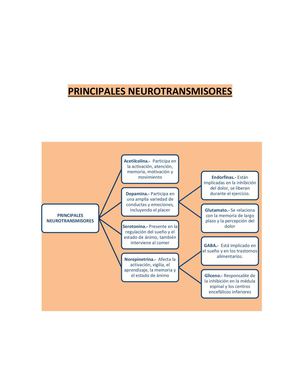 Neurotransmisores 