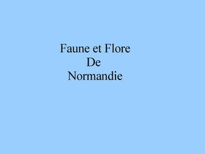 faune flore normandie