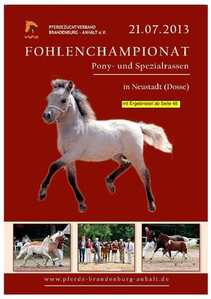 Fohlenchampionat PKS 2013