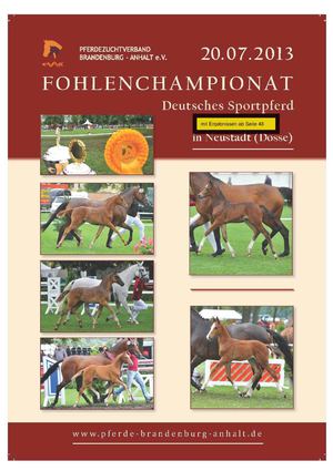 Fohlenchampionat DSP 2013
