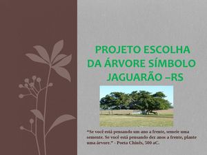 ESCOLHA DA ÁRVORE SÍMBOLO DE JAGUARÃO