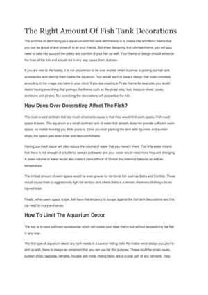 The Right Amount Of Fish Tank Decorations