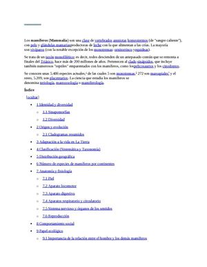 los mamiferos 