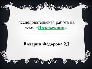 Исследовательская работа на тему «Подорожник»