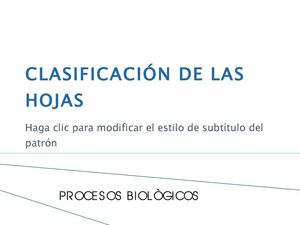clasificacion-de-las-hojas