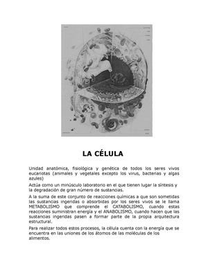 la celula