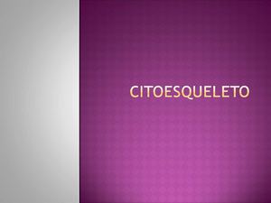 Citoesqueleto