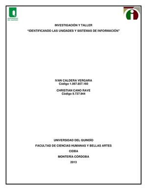 "IDENTIFICANDO LAS UNIDADES Y SISTEMAS DE INFORMACIÓN"