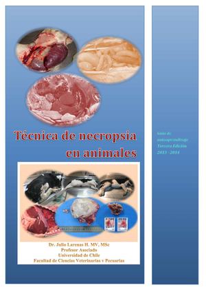 Guía Interactiva de Necropsia