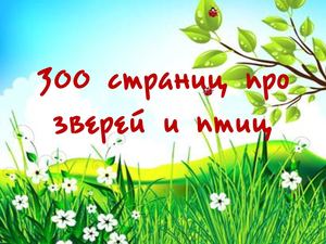 300 страниц про зверей и птиц