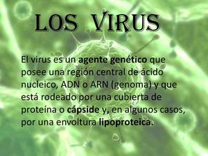 virus microbiologia  