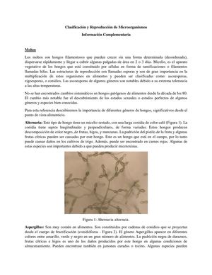 Revista Virtual - Informacion complementaria Lectures 1-3