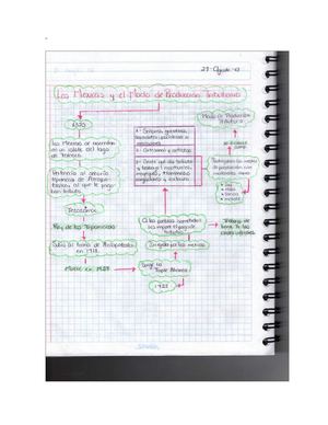 Esquema sobre los Mexicas y el modo de producción tributario