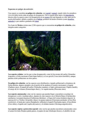 Animales en peligro de extincion